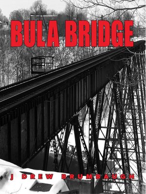 cover image of Bula Bridge